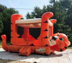 Tiger Belly Bouncer