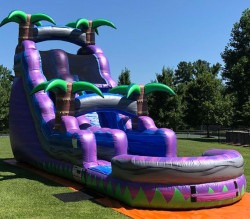 18' Wet/Dry Purple Crush